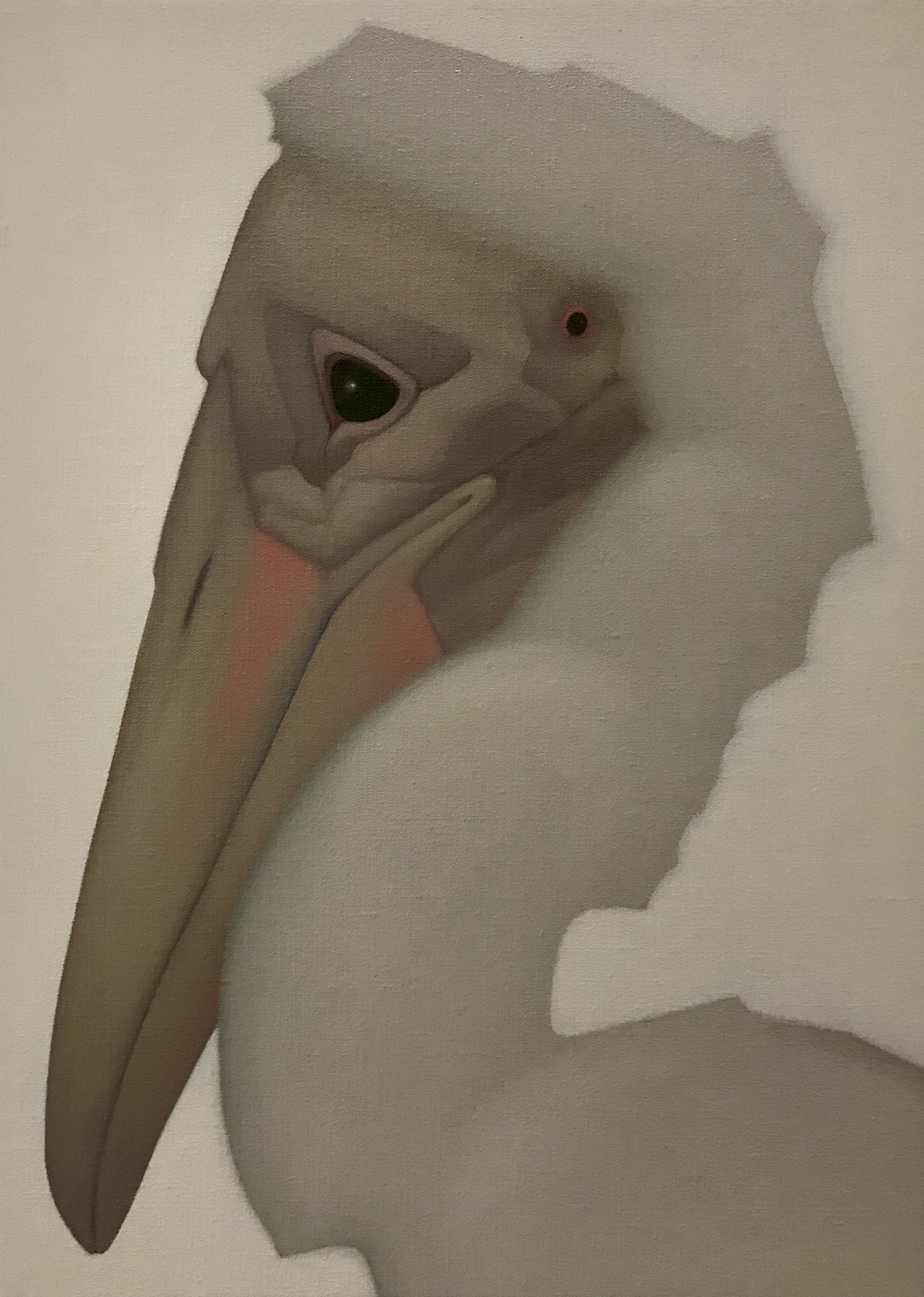 Painting of a Pelican Youngling