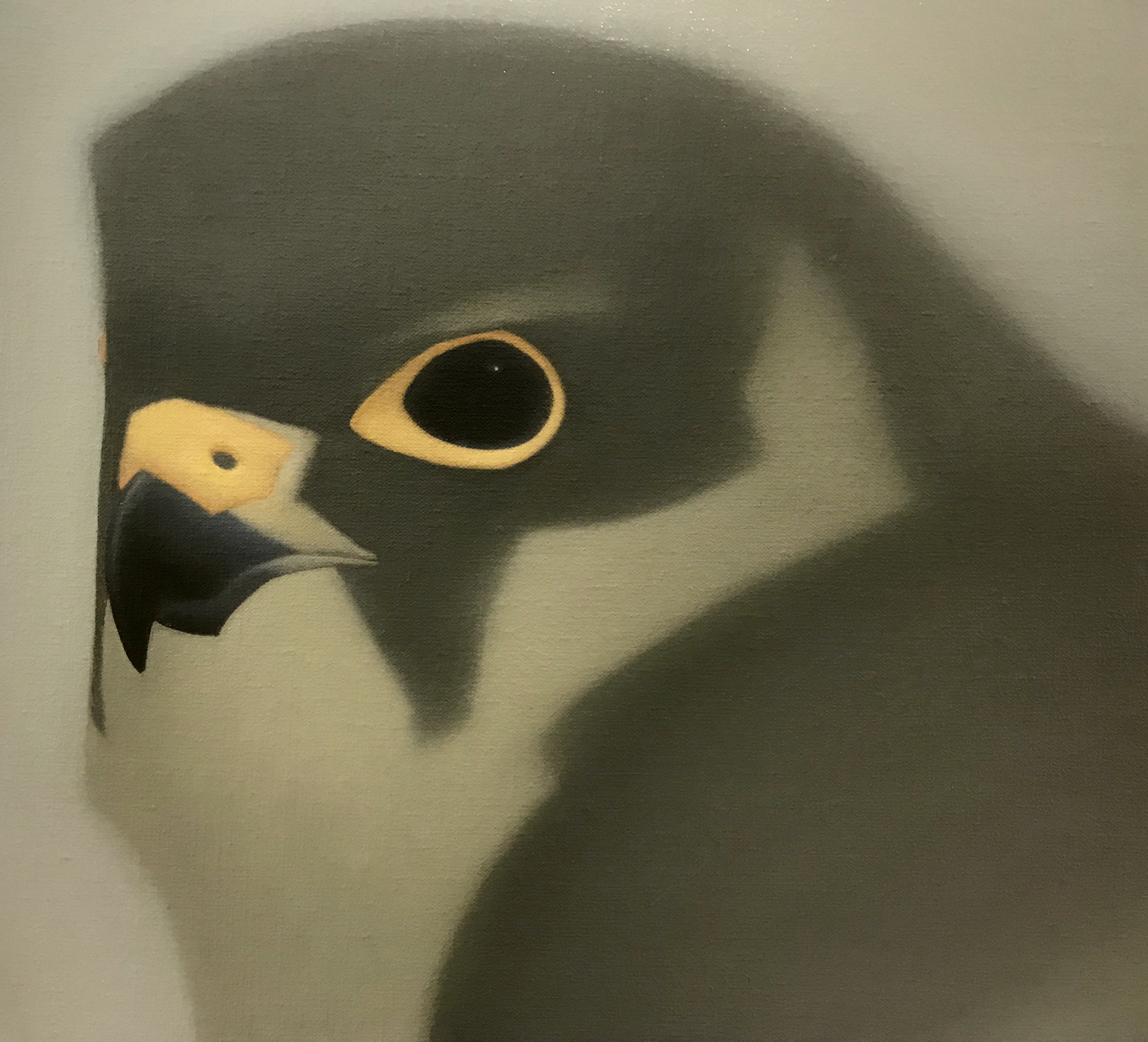 Painting of a falcon