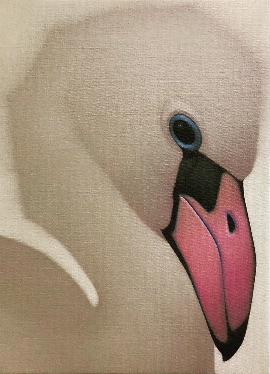 Flamingo chick, 42_32cm, oil on canvas 2019